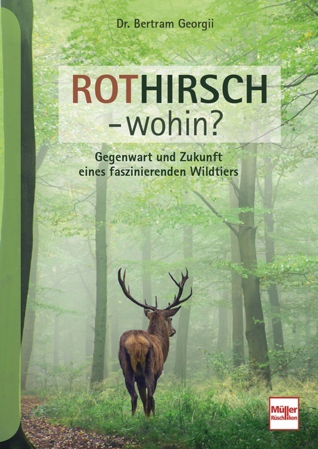 Rothirsch - wohin? main product photo