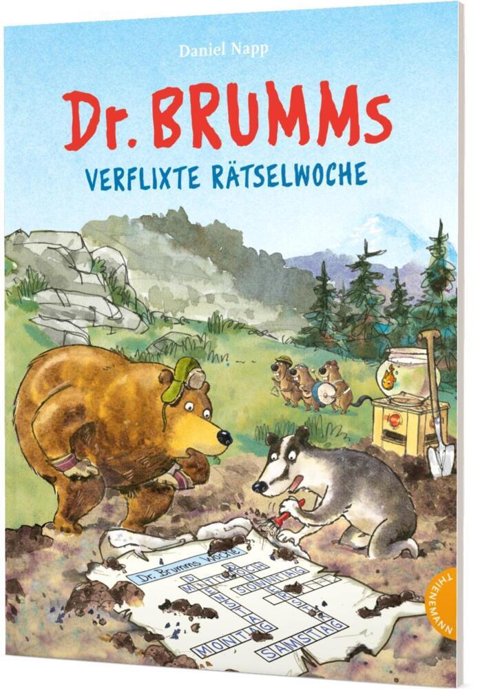 Dr. Brumm: Dr. Brumms verflixte Rätselwoche main product photo
