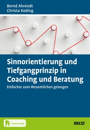 Sinnorientierung und Tiefgangprinzip in Coaching und Beratung
