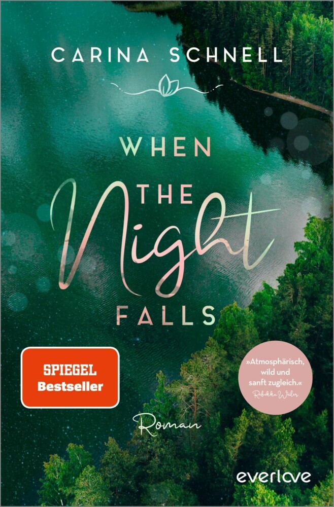 When the Night Falls main product photo