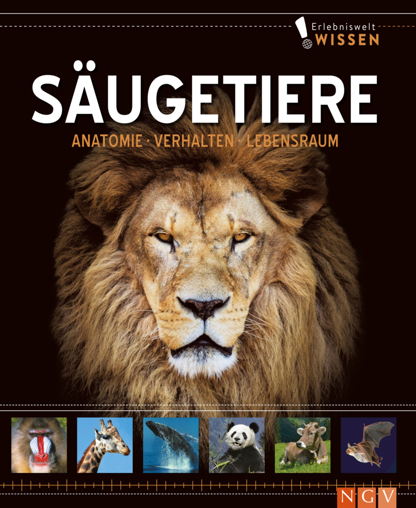 Erlebniswelt Wissen Säugetiere main product photo