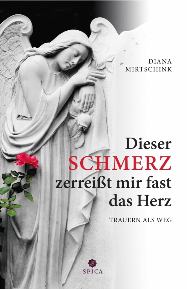 Dieser Schmerz zerreißt mir fast das Herz main product photo