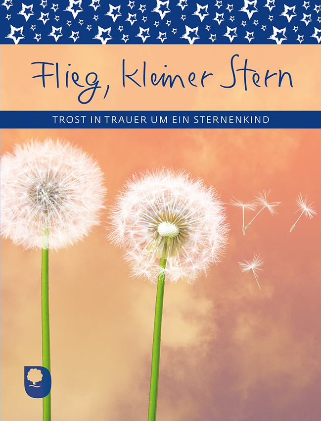 Flieg, kleiner Stern main product photo