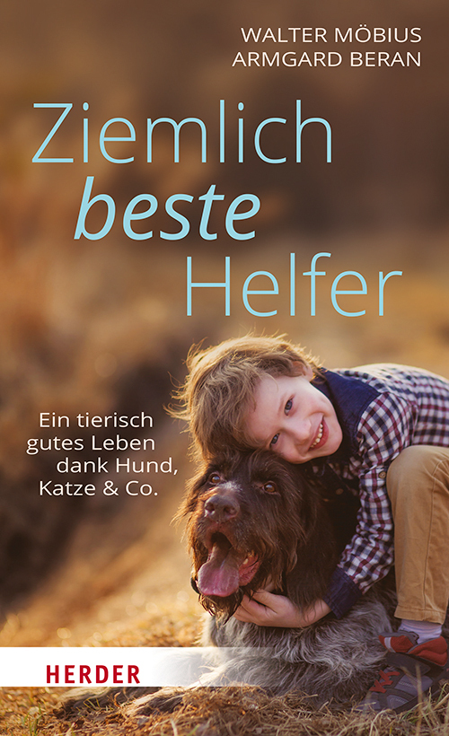 Ziemlich beste Helfer main product photo