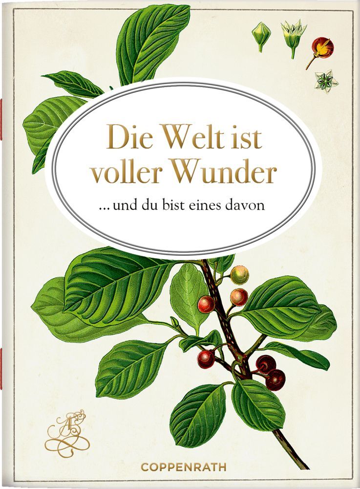 Die Welt ist voller Wunder main product photo