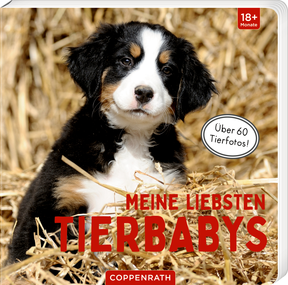 Meine liebsten Tierbabys main product photo