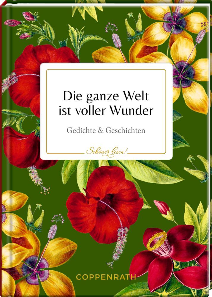 Die ganze Welt ist voller Wunder main product photo