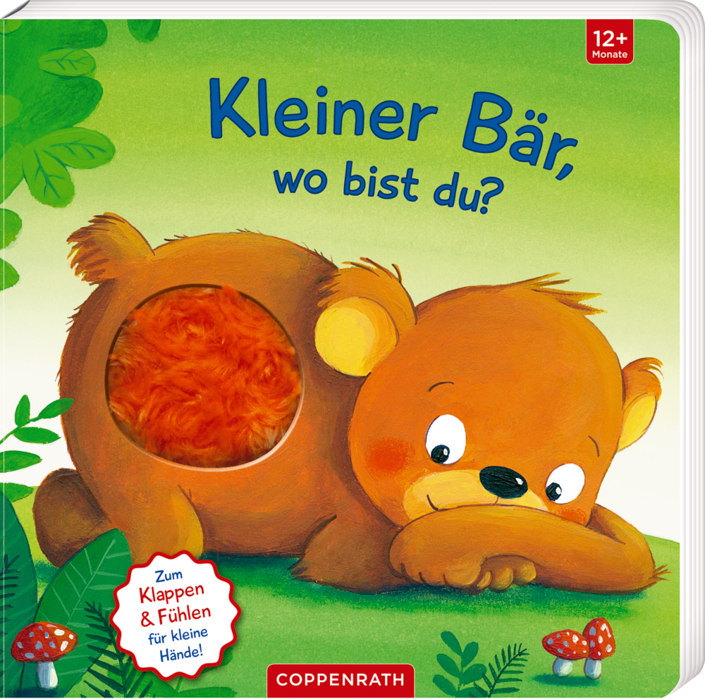 Mein erstes Guckloch-Fühlbuch: Kleiner Bär, wo bist du? main product photo