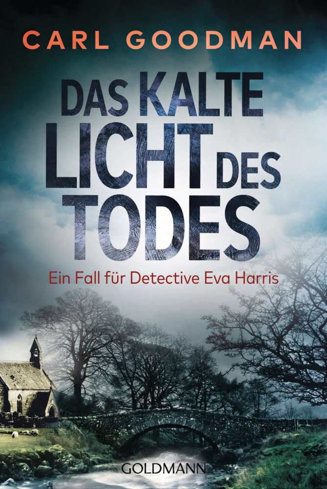 Das kalte Licht des Todes main product photo