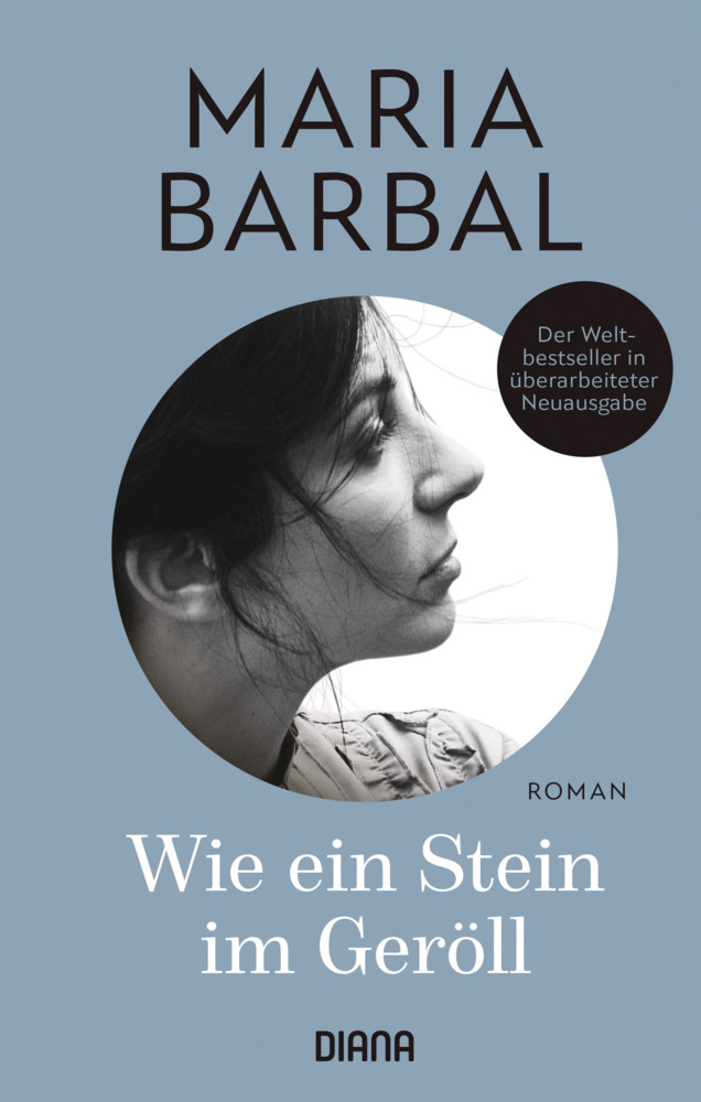 Wie ein Stein im Geröll main product photo