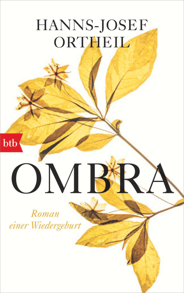 OMBRA main product photo