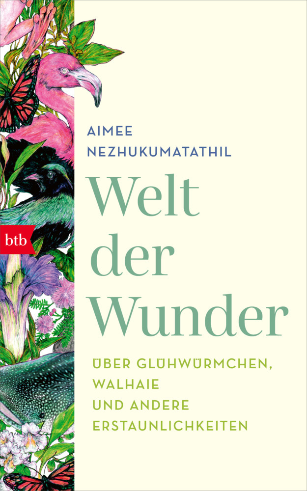 Welt der Wunder main product photo
