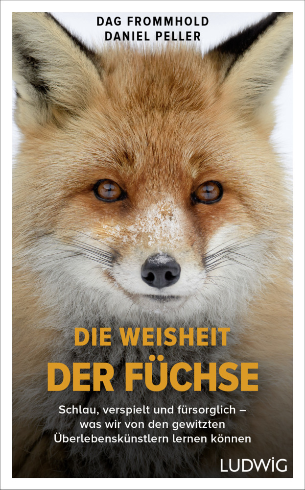 Die Weisheit der Füchse main product photo
