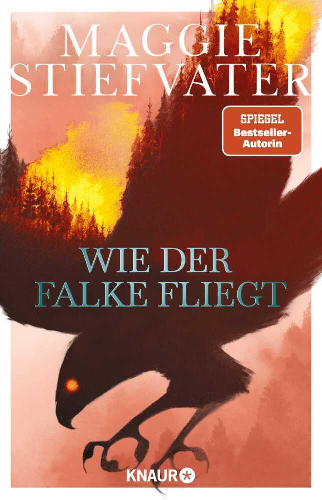 Wie der Falke fliegt main product photo