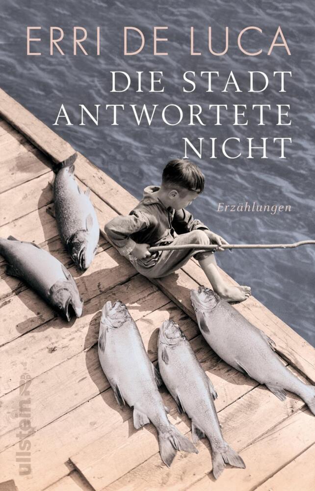 Die Stadt antwortete nicht main product photo