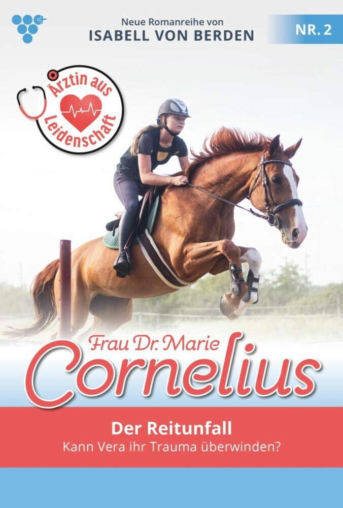 Der Reitunfall main product photo