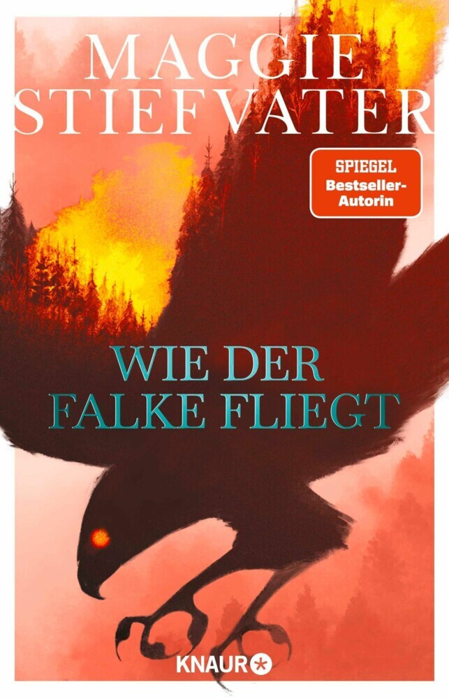 Wie der Falke fliegt main product photo