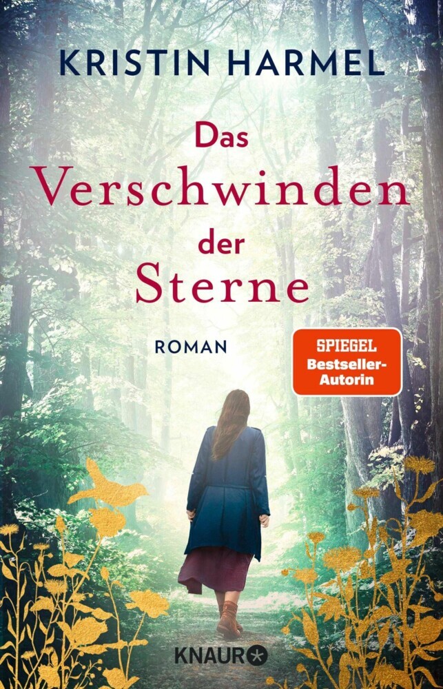 Das Verschwinden der Sterne main product photo
