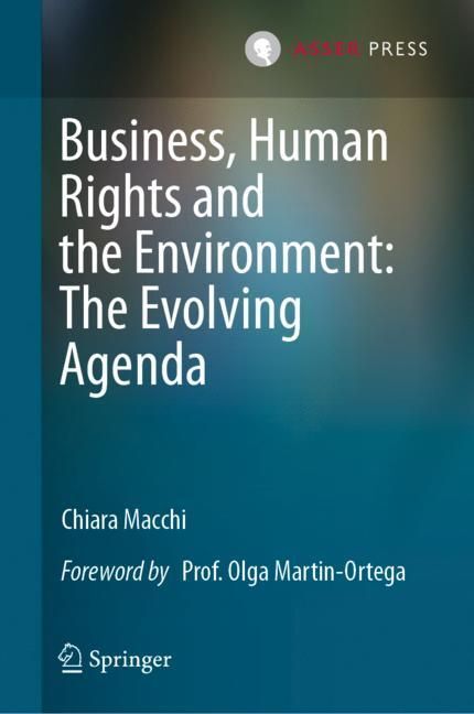Business, Human Rights and the Environment: The Evolving Agenda main product photo