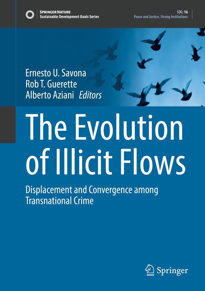 The Evolution of Illicit Flows main product photo