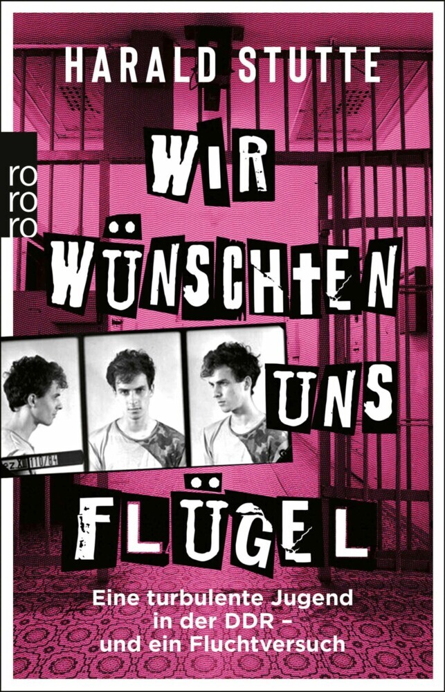 Wir wünschten uns Flügel main product photo
