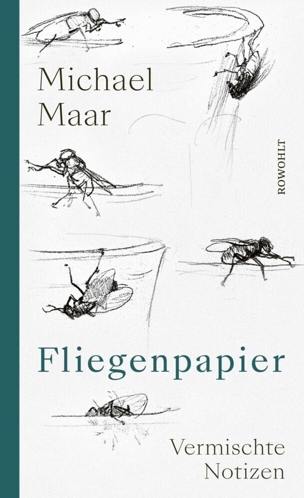 Fliegenpapier main product photo