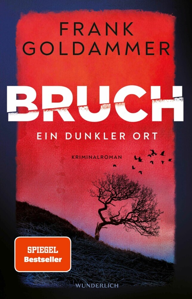 Bruch: Ein dunkler Ort main product photo