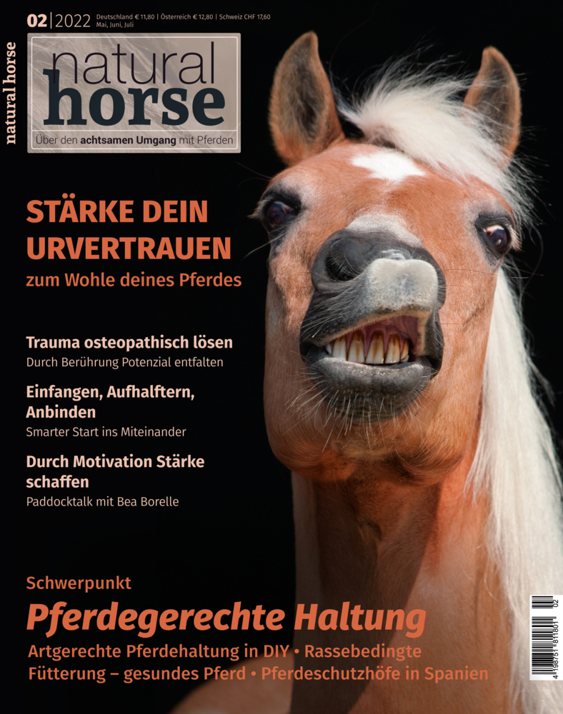 Natural Horse 39 main product photo