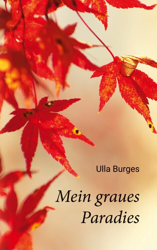Mein graues Paradies main product photo