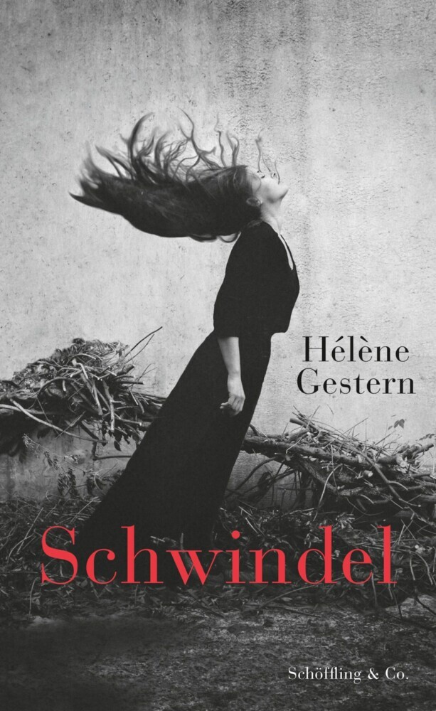 Schwindel main product photo