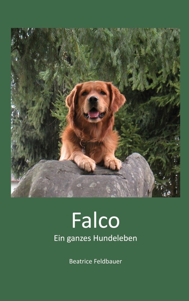 Falco main product photo