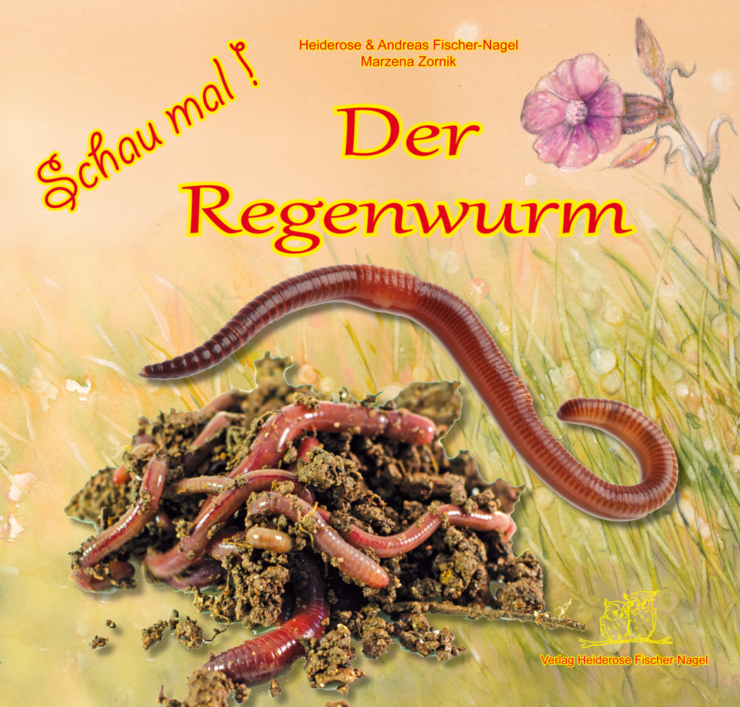 Schau mal! Der Regenwurm main product photo
