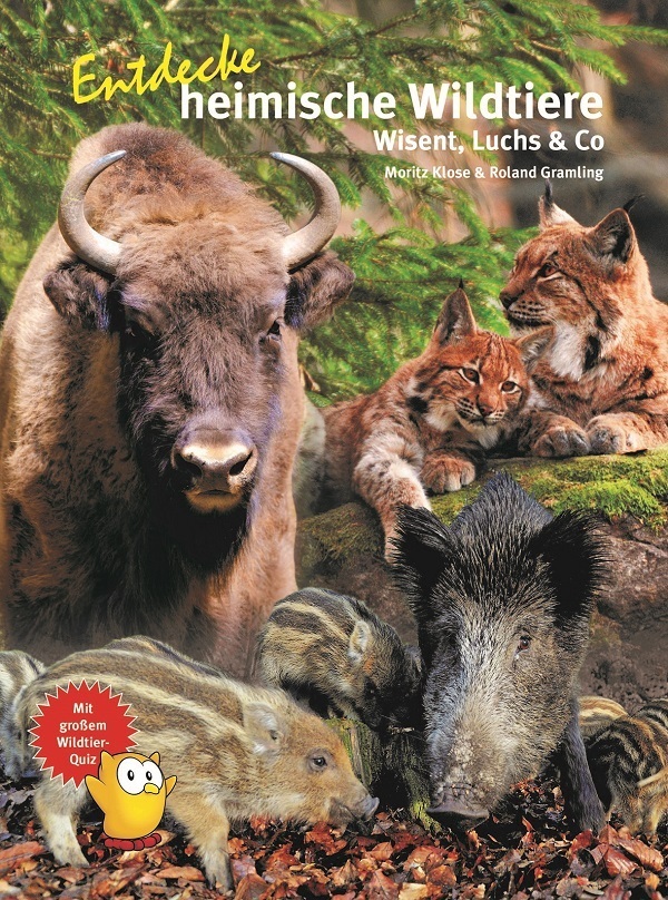 Entdecke heimische Wildtiere main product photo
