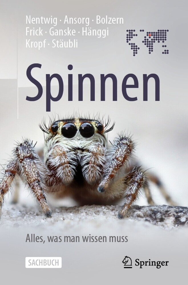 Spinnen - Alles, was man wissen muss main product photo