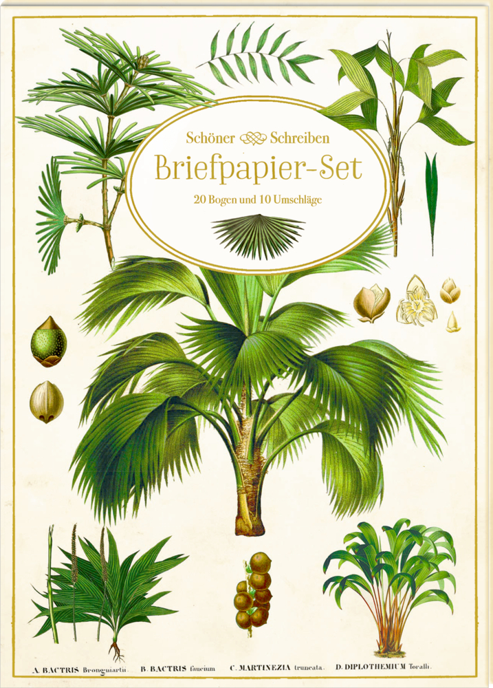 Briefpapier-Set - Sammlung Augustina main product photo