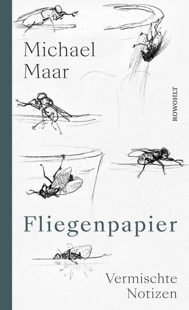 Fliegenpapier main product photo