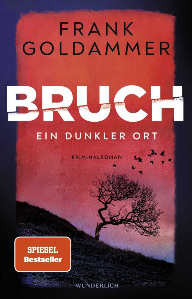 Bruch: Ein dunkler Ort main product photo
