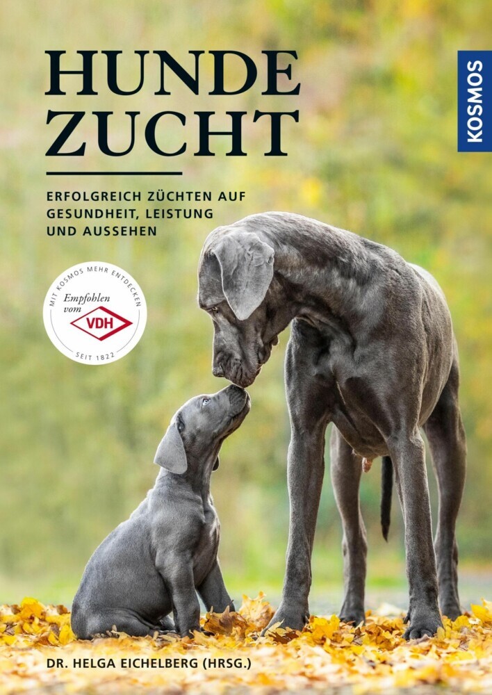 Hundezucht main product photo
