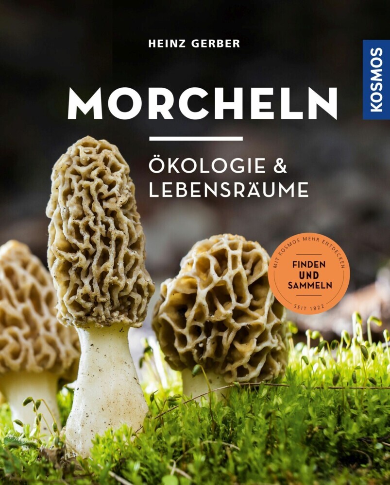 Morcheln main product photo