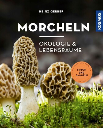 Morcheln