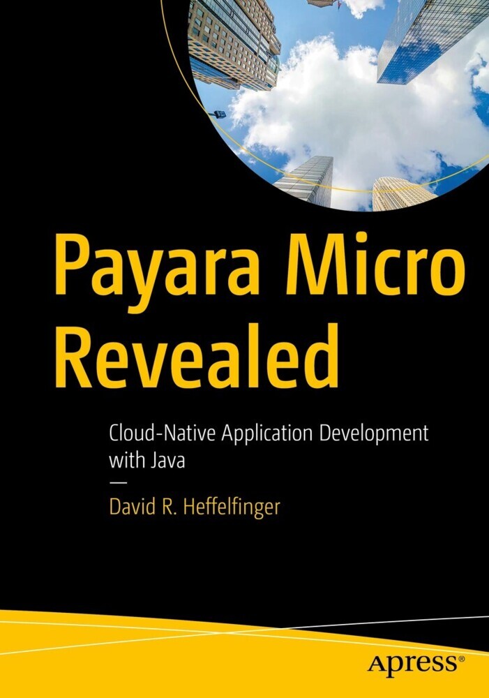 Payara Micro Revealed main product photo