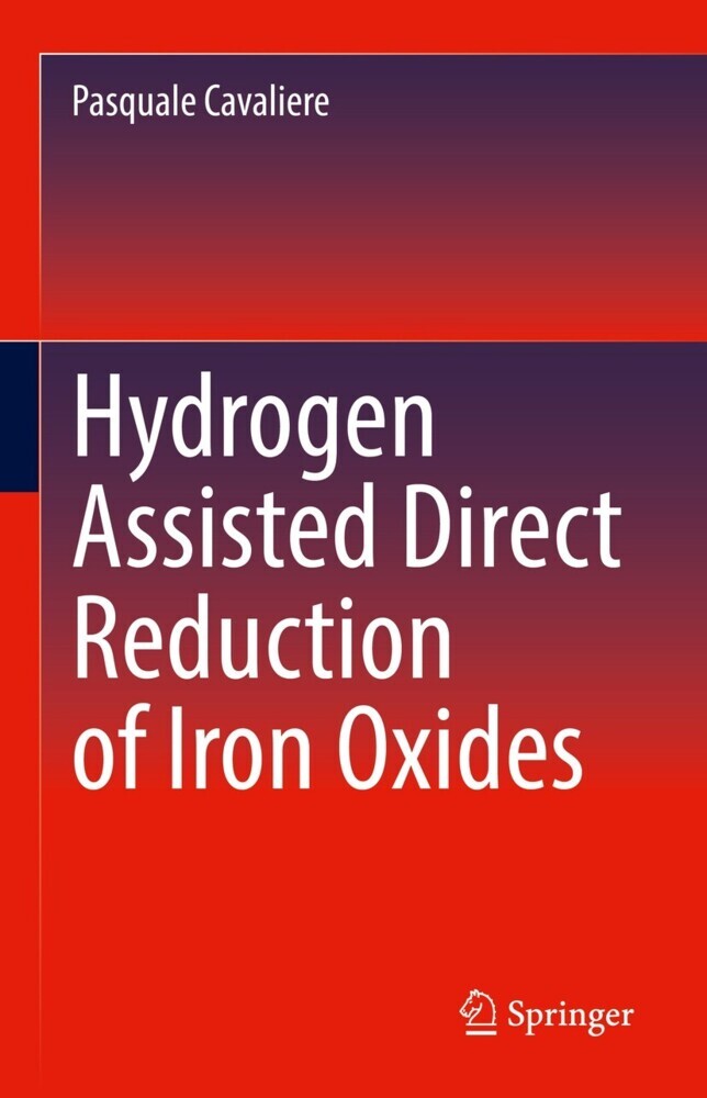 Hydrogen Assisted Direct Reduction of Iron Oxides main product photo