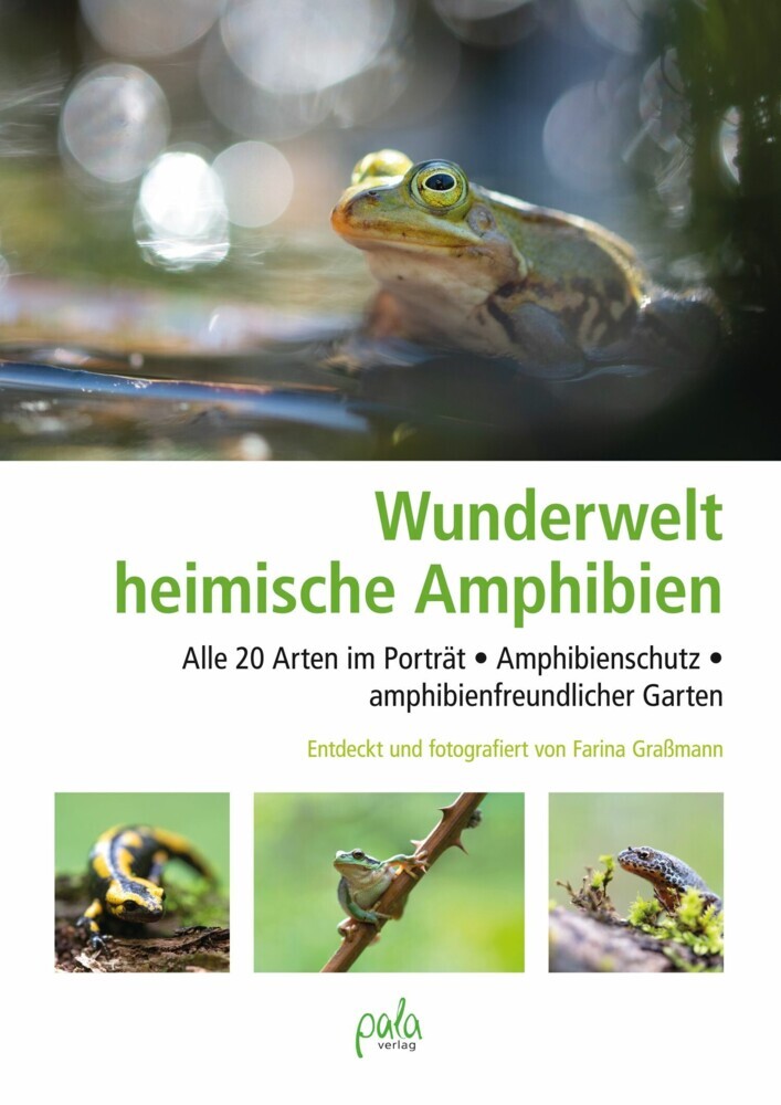 Wunderwelt heimische Amphibien main product photo