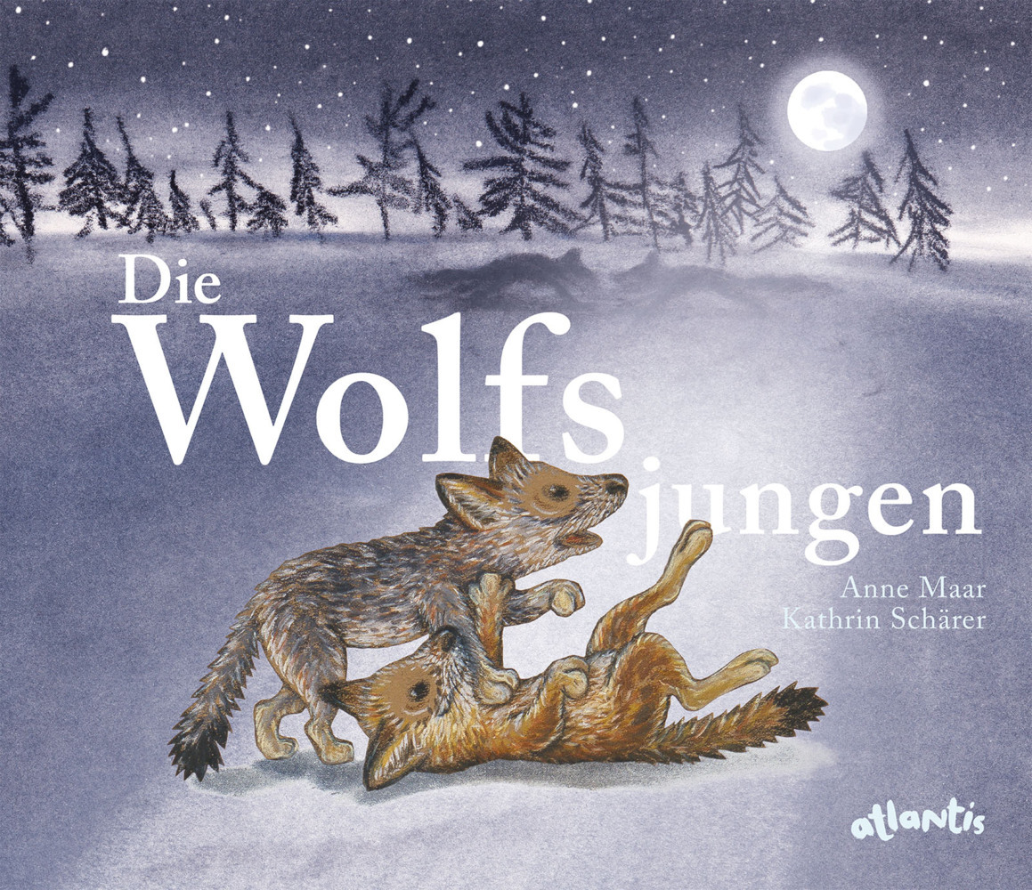 Die Wolfsjungen main product photo