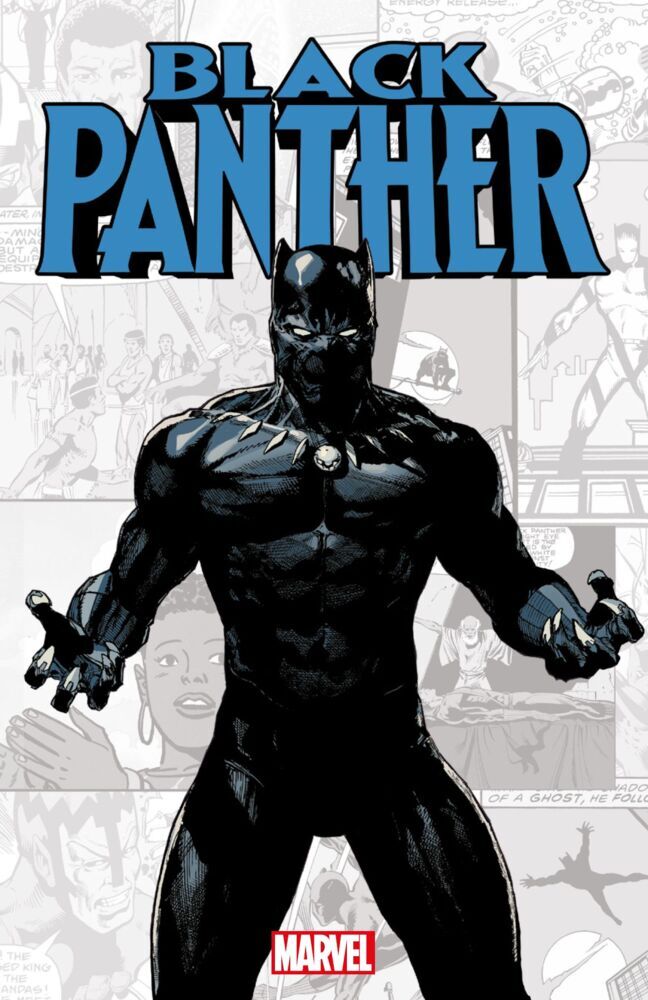 Black Panther main product photo