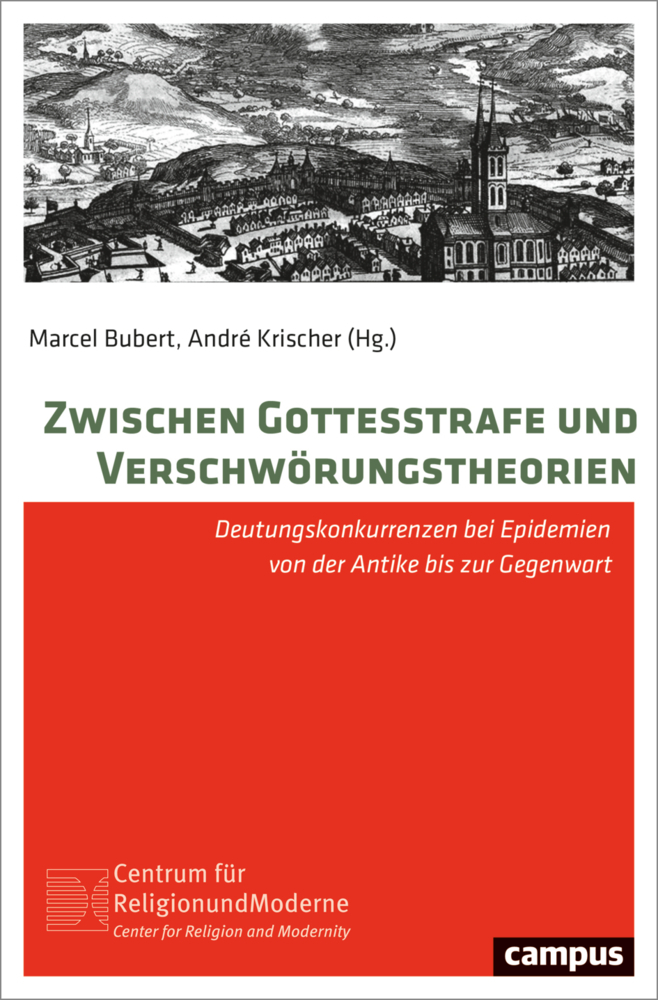 Zwischen Gottesstrafe und Verschwörungstheorien main product photo