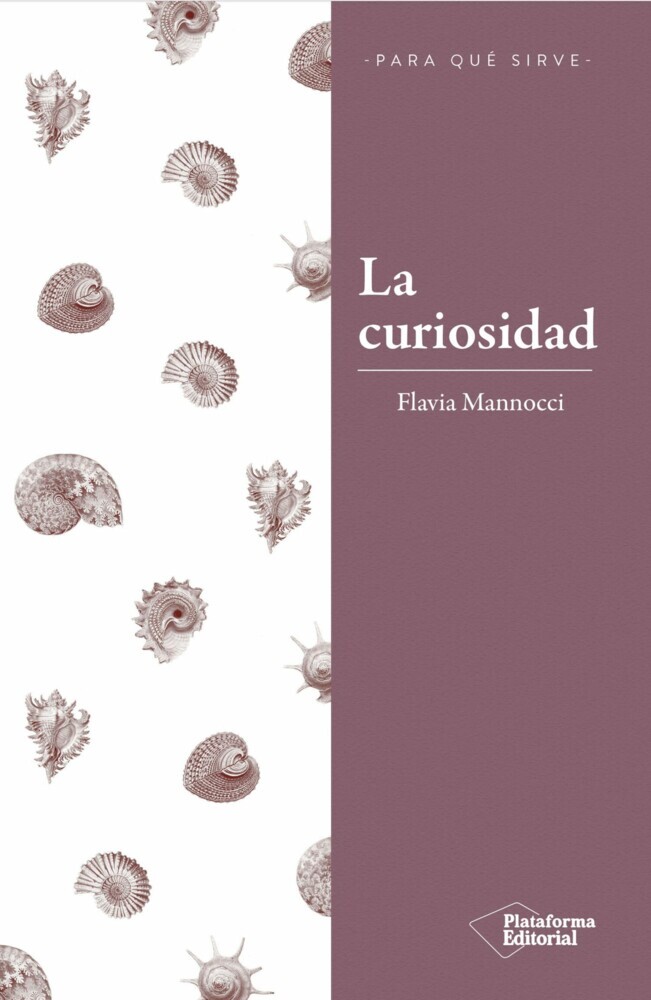 La curiosidad main product photo