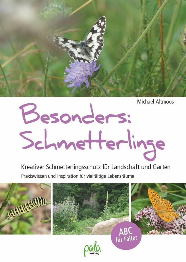 Besonders: Schmetterlinge main product photo
