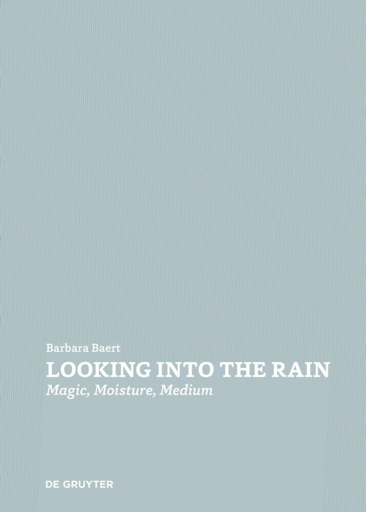 Looking Into the Rain main product photo