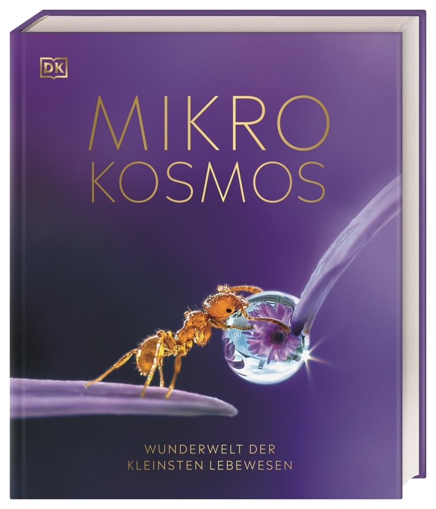 Mikrokosmos - Wunderwelt der kleinsten Lebewesen main product photo
